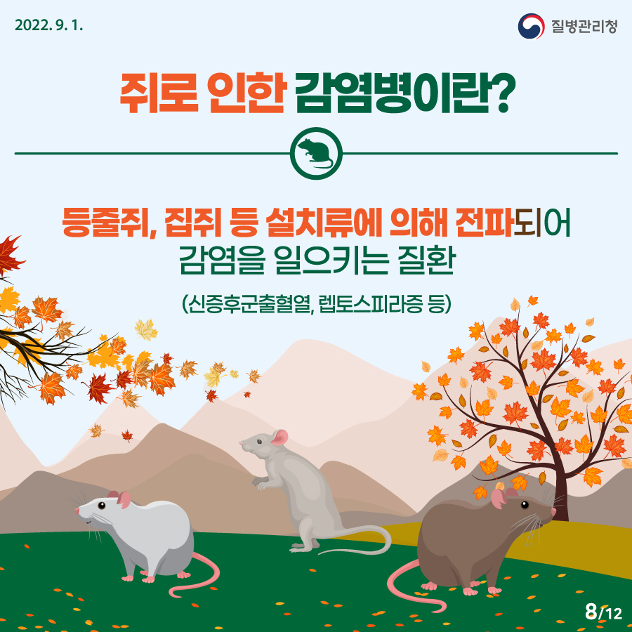 2202년 9월 1일. 질병관리청. 쥐로 인한 감염병이란? 등줄쥐, 집쥐 등 설치류에 의해 전파되어 감염을 일으키는 질환 (신증후군출혈열, 렙토스피라증 등). 12페이지 중 8페이지